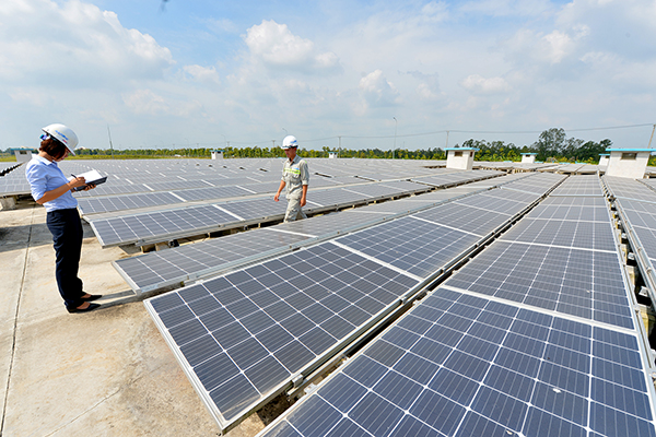 p/Các dự án năng lượng tái tạo tại Việt Nam đang được nhiều nhà đầu tư trong và ngoài nước quan tâm. Dự án Điện mặt trời của Tập đoàn Aqua One tại Hậu Giang. Ảnh: Quốc Tuấn