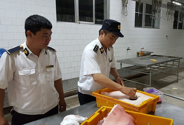 Lực lượng liên ngành chức năng Nam Định kiểm tra và đóng dấu kiểm dịch ở một cơ sở giết mổ lợn. 