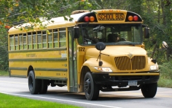 Quy định xe chở học sinh có màu vàng, nước Mỹ đã áp dụng từ năm 1940