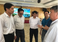 Quảng Ninh: Đấu thầu quyền đóng mới thay thế tàu du lịch vỏ gỗ sang tàu vỏ thép