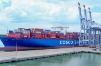 Cần tăng cường quản lý phụ phí của hãng tàu nước ngoài tại Việt Nam