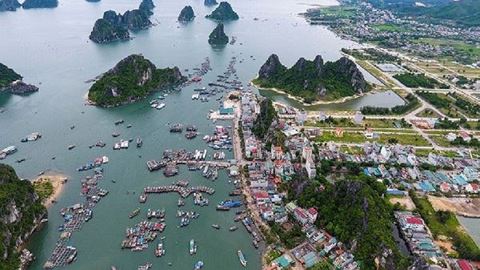 Oxfam lo ngại rằng chính sách ưu đãi thuế tại đặc khu sẽ tạo ra một vùng trũng về thuế ngay trong chính Việt Nam.