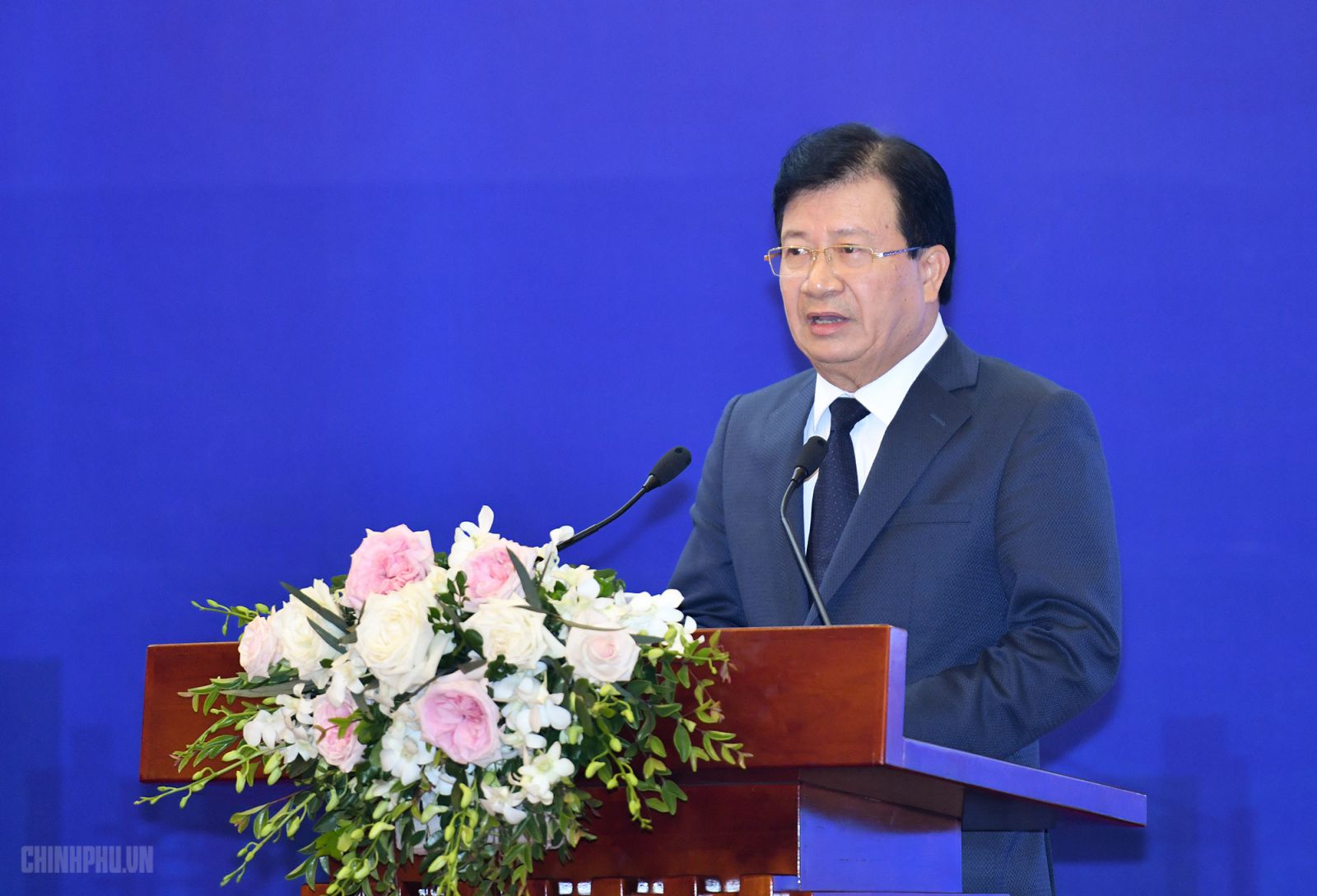 Phó Thủ tướng Trịnh Đình Dũng phát biểu tại Hội nghị. Ảnh: VGP