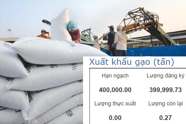 Cơ quan Hải quan khẳng định không có sự can thiệp vào hạn ngạch xuất khẩu gạo