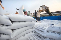 Thủ tướng yêu cầu Thanh tra Chính phủ thanh tra đột xuất vụ xuất khẩu gạo
