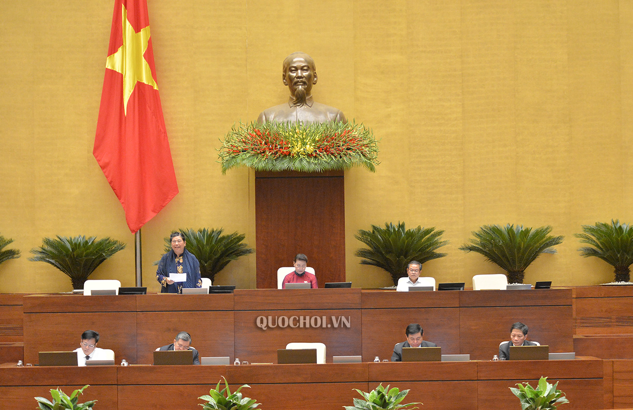 Phó Chủ tịch Thường trực Quốc hội Tòng Thị Phóng kết luận nội dung thảo luận