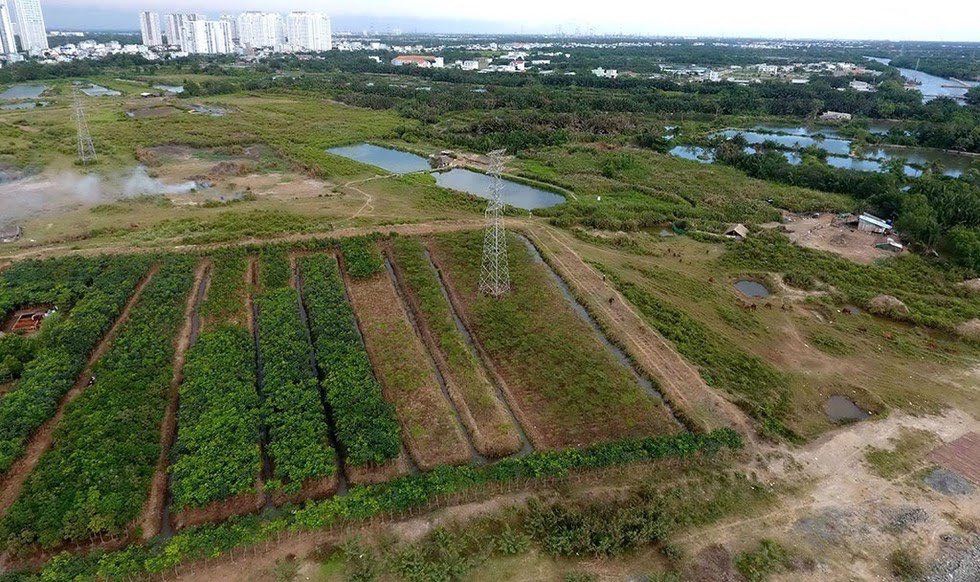 Khu đất hơn 30 ha của Công ty Tân Thuận bán cho Công ty Quốc Cường Gia Lai.