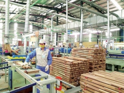 50% doanh nghiệp gỗ nguy cơ phá sản: Chính sách nào cứu vãn?