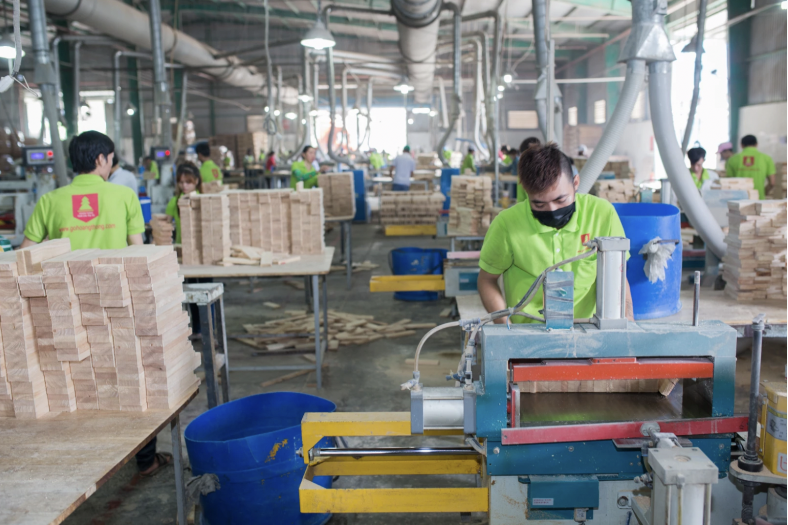 Ảnh: Sản xuất gỗ ghép thanh tại công ty gỗ Hoàng Thông, một trong những doanh nghiệp gỗ ghép thanh lớn nhất cả nước.