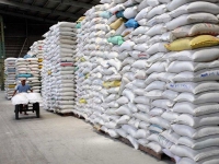 TIN NÓNG CHÍNH PHỦ: Xuất cấp gạo dự trữ quốc gia hỗ trợ người dân