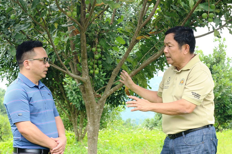 Chủ tịch HĐQT Ngân hàng Bưu điện Liên Việt kiểm tra dự án trồng cây mắc ca tại H.Tuần Giáo, tỉnh Điện Biên 
