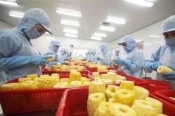 Xuất khẩu sang EU: Thị trường tỷ đô chờ rau quả Việt