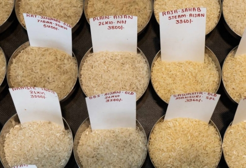Giá lương thực toàn cầu trái chiều, xuất khẩu gạo Việt Nam sẽ ra sao?