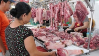 Sẽ có phương án hỗ trợ doanh nghiệp nhập khẩu thịt lợn khi có nhu cầu