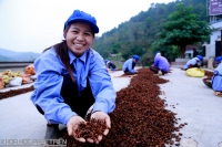 Lạng Sơn: Dư địa lớn cho đầu tư phát triển nông nghiệp