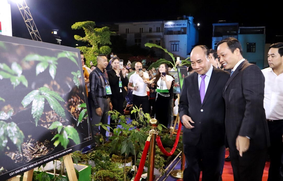 Chủ tịch nước Nguyễn Xuân Phúc nghe đồng chí Chủ tịch UBND tỉnh Lai Châu giới thiệu về cây Sâm Lai Châu