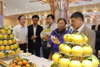 Hà Giang: Xúc tiến tiêu thụ cam sành, đặc sản tại Hà Nội