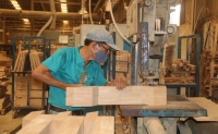 Doanh nghiệp Trung Quốc lợi dụng Việt Nam để xuất khẩu gỗ và sản phẩm gỗ vào Mỹ