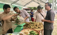 Sơn La đưa nhãn và nông sản an toàn về Hà Nội