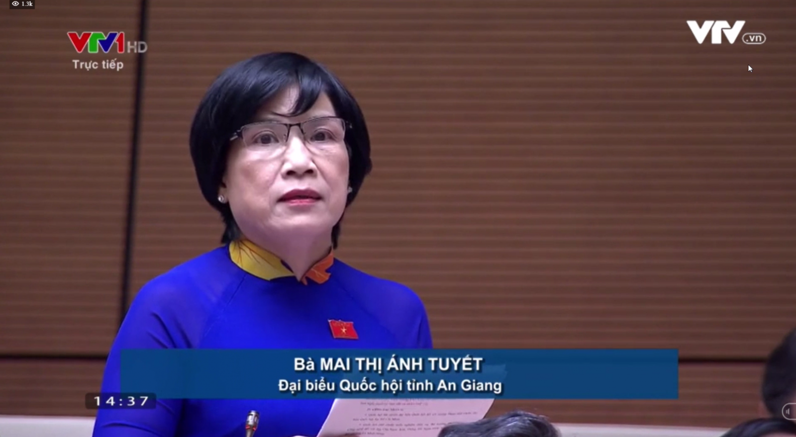 Bà Mai Thị Ánh Tuyết - ĐBQH An Giang: Cần các giải pháp hỗ trợ doanh nghiệp tháo gỡ khó khăn