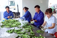 Giải pháp nào cho bài toán chuỗi cung ứng nông sản Việt?