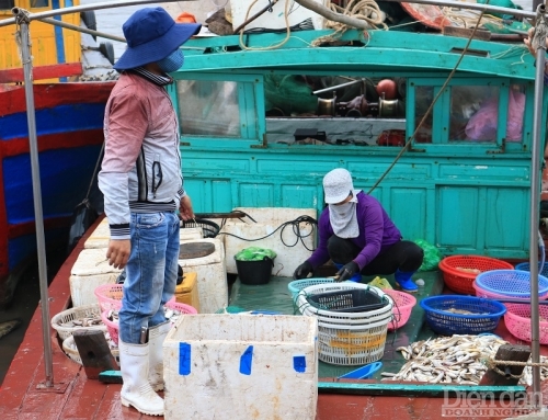 Xuất khẩu thuỷ sản Việt Nam: tiềm năng nhưng nhiều thách thức