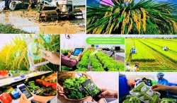 Việt Nam và cam kết chuyển đổi nền nông nghiệp phù hợp với xu thế mới