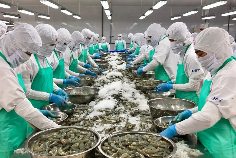 5 tháng đầu năm 2023, kim ngạch xuất khẩu thủy sản của Việt Nam giảm sâu từ 10 -50% tại các thị trường chính