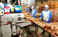 Thị trường xuất khẩu bị thu hẹp, doanh nghiệp ngành gỗ lao đao