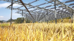 Ngành nông nghiệp và bài toán chia sẻ năng lượng, giảm phát thải carbon