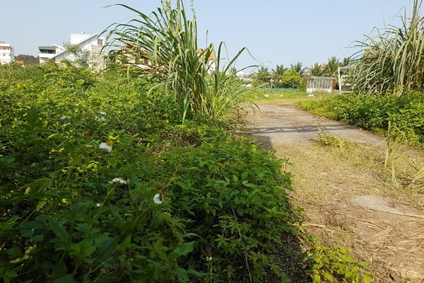 Dự án đến nay vẫn chỉ là bãi đất bỏ hoang giữa trung tâm thành phố Hạ Long. 