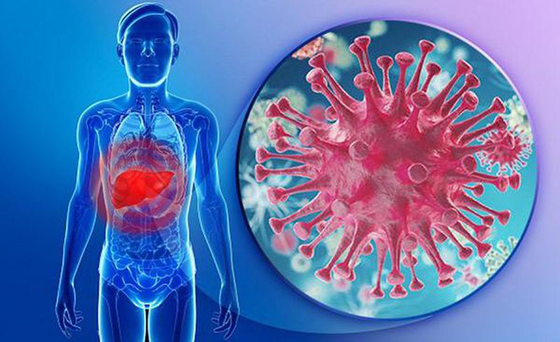 Virus viêm gan B có tốc độ lây nhiễm chóng mặt với khả năng lây nhiễm cao gấp 100 lần HIV 