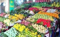Doanh nghiệp Đà Nẵng - Tiền Giang liên kết sản xuất, tiêu thụ nông sản
