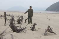 Hà Tĩnh: Biển nuốt chửng rừng phòng hộ, dân “mất ăn mất ngủ”, bỏ làng di tán