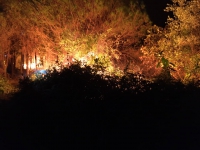 Hà Tĩnh: Huy động hàng trăm người dập cháy rừng trong đêm