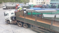 Nghệ An: Doanh nghiệp vận tải đường bộ lại tiếp tục lao đao vì COVID – 19