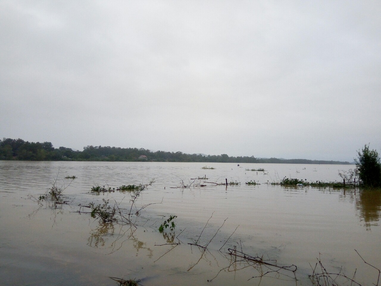 Mùa mưa lũ, hệ thống các sông suối đều có lưu tốc xả lũ mạnh khiến vùng đồng bằng trung du Nghệ An luôn ngập úng trên diện rộng