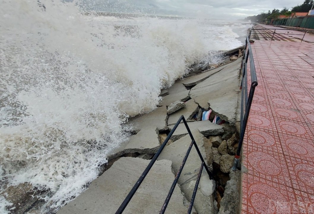 Mặc dù bão số 7, số 8 vừa qua không đổ bộ trực tiếp vào đất liền nhưng hàng trăm m bờ kè chắn sóng biển ở thị xã Cửa Lò vừa mới sửa chữa đã bị đánh tan