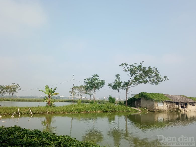 Đợt lũ lụt tháng 10/2020, nhiều hộ dân ở xã Yên Sơn, huyện Đô Lương bị thiệt hại tài sản do hồ nuôi thuỷ sản, trang trại bị cuốn trôi nhưng chính quyền xã không thống kê, lập danh sách đề nghị hỗ trợ gửi lên cấp trên