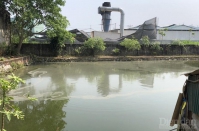 Nghệ An: Nhà máy “trùm” bụi bặm, tiếng ồn lên nhà dân