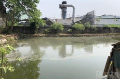 Nghệ An: Nhà máy “trùm” bụi bặm, tiếng ồn lên nhà dân