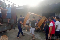 Nghệ An: Xử phạt Công ty CP Tân Hoàng Khang vi phạm trong quá trình khai thác khoáng sản