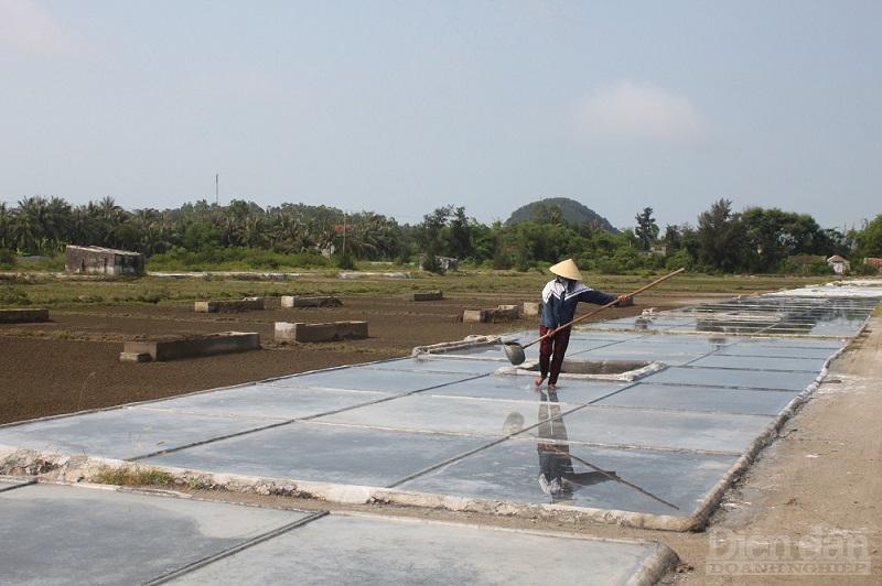 Diêm dân trên cánh đồng muối ở Nghệ An làm việc rất vất vả nhưng thu nhập bấp bênh vì giá muối liên tục bị xuống thấp
