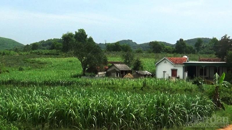 Một ngôi nhà của người dân ở xã Quỳnh Tân, huyện Quỳnh Lưu nằm lọt vào diện tích quy hoạch của rừng phòng hộ