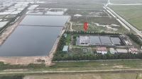 Nghệ An: Nhà máy xử lý nước thải xả thải trực tiếp ra môi trường?