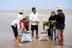 Tìm giấy “thông hành” cho nghêu, tre Việt Nam sang thị trường quốc tế