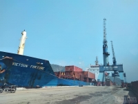 Vì sao tuyến vận tải container quốc tế qua cảng Cửa Lò bị ngừng?