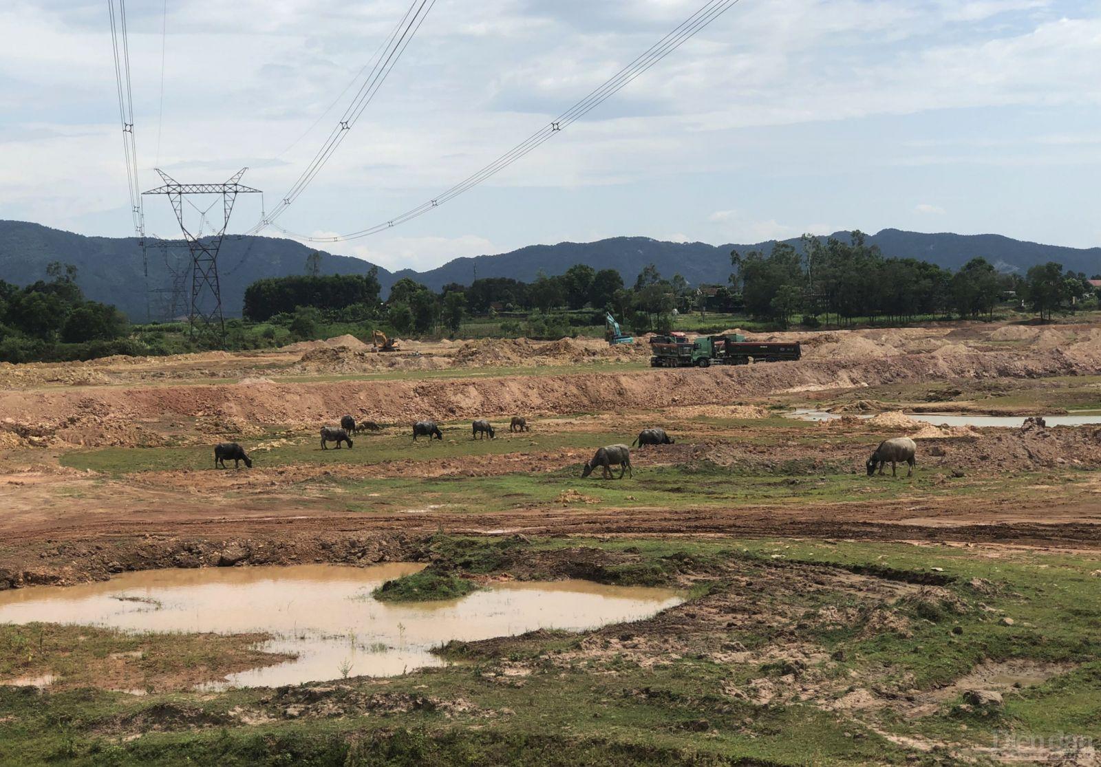Khu vực dự án nạo vét tận thu bùn, đất bồi lắng đập Chọ Ràn ở xã Đại Sơn, huyện Đô Lương, tỉnh Nghệ An