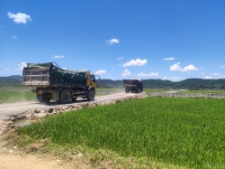 Loạt xe tải trọng lớn chở đất “đại náo” vùng quê ở Nghệ An