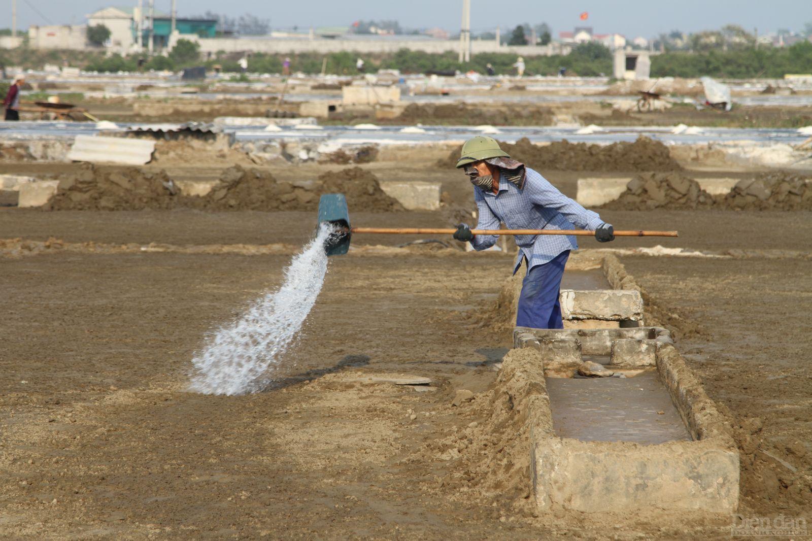 Diêm dân Nghệ An không còn mấy mặn mà với nghề muối truyền thống do thu nhập thấp, không đủ để trang trải cuộc sống